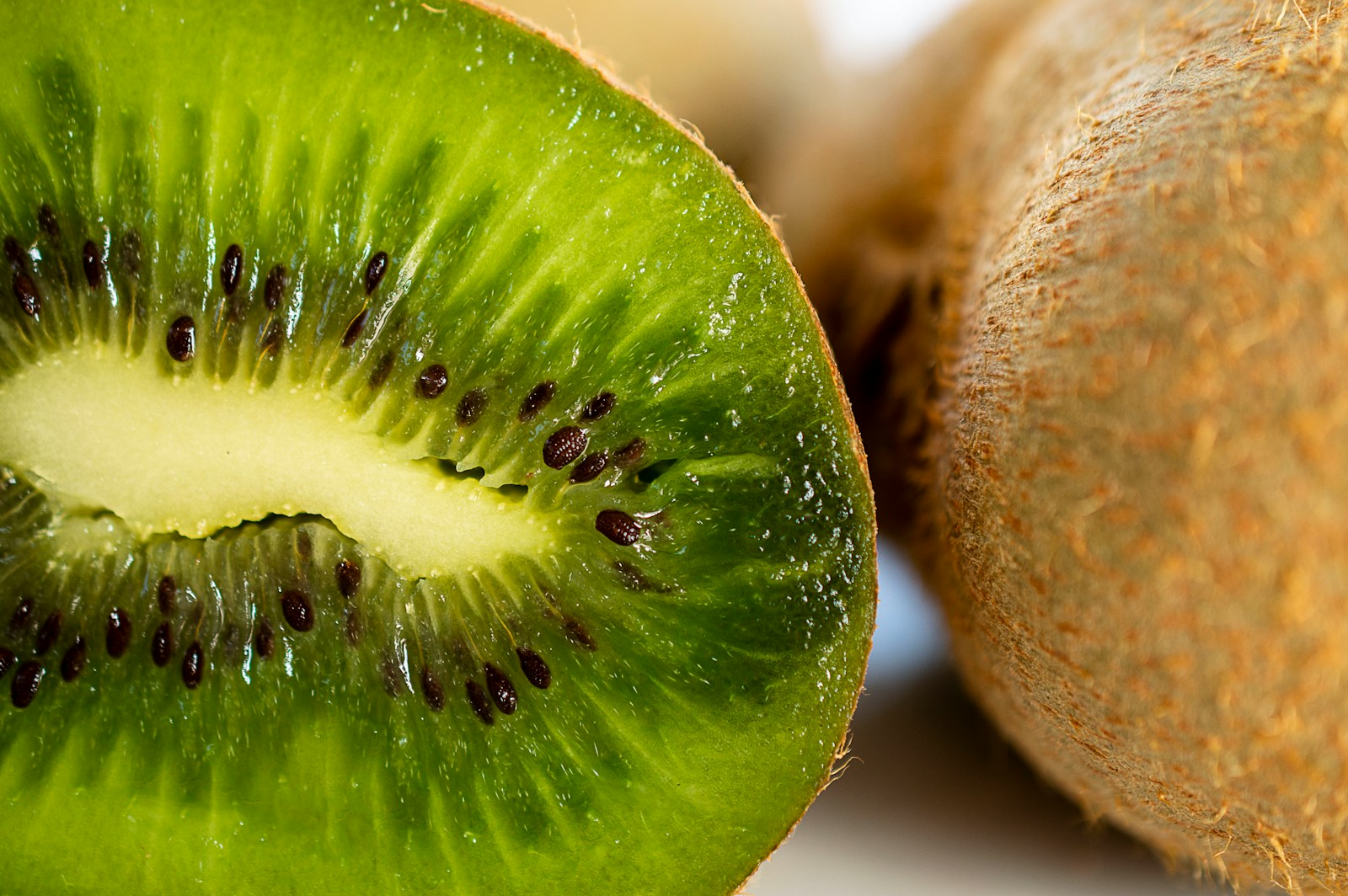 kiwi fruit